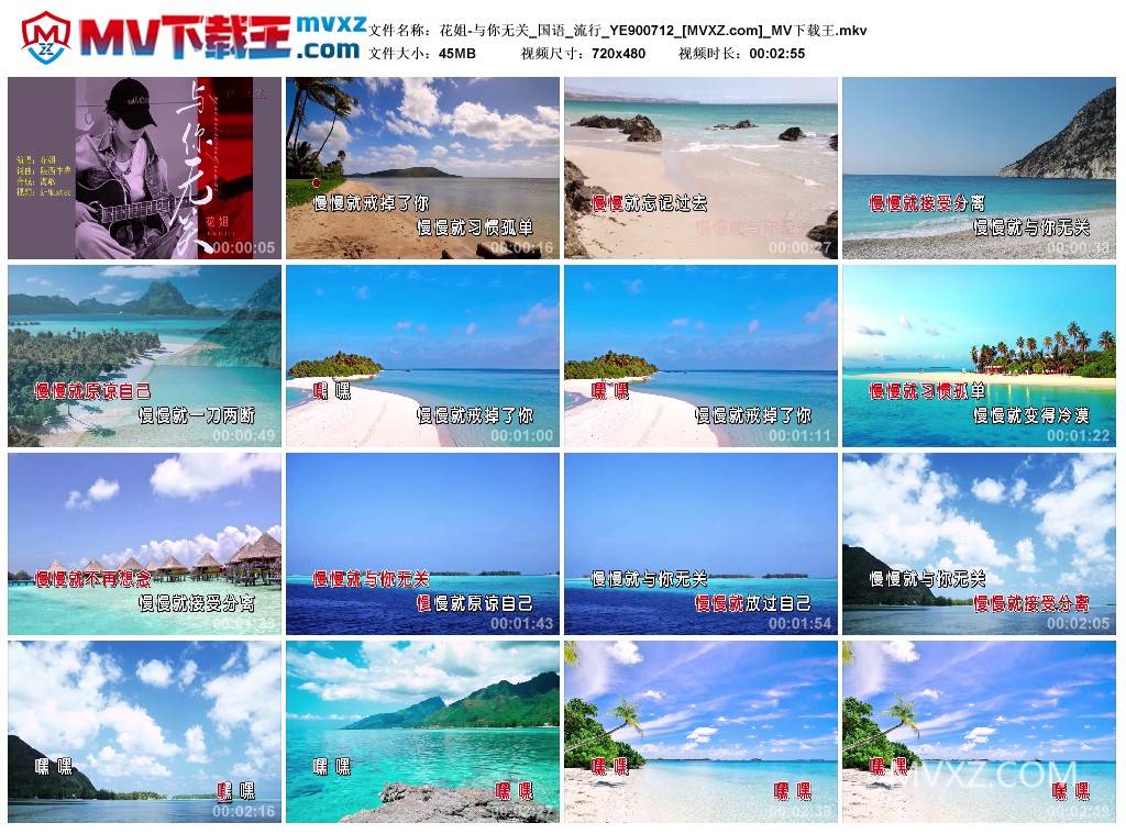 花姐-与你无关_国语_流行_YE900712